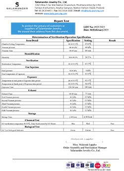 STERILIZE LOT 0925 (2025-02-04)